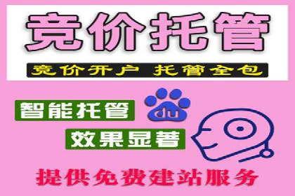 sem托管服务实战案例：广告投放效果翻倍增长